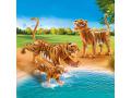 Couple de tigres avec bébé - Playmobil - 70359