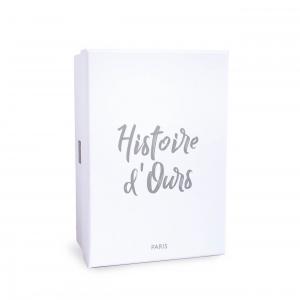 CHOUPISSON LE HERISSON - 25 cm - Histoire d'ours - HO3063