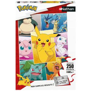 Puzzle 250  pièces -  Types de Pokémon - Pokemon - 86882
