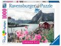 Puzzles adultes - Puzzle 1000 pièces - Reine, Lofoten, Norvège (Puzzle Highlights) - Ravensburger - 16740