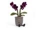 Peluche Amuseable orchidée violette