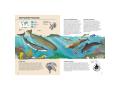 Atlas de la biodiversité - Mers et océans - Sassi - 307582