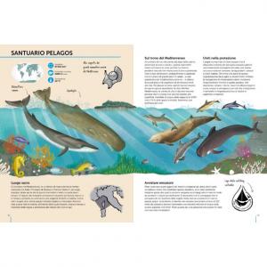 Atlas de la biodiversité - Mers et océans - Sassi - 307582