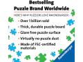 Puzzles adultes - Puzzle 1000 pièces - Le monde d'Oz / Dean MacAdam - Ravensburger - 16566
