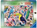 Puzzle 1000 pièces - Oiseaux extraordinaires / Matt Sewell - Ravensburger - 16769
