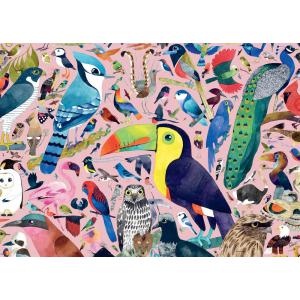 Puzzle 1000 pièces - Oiseaux extraordinaires / Matt Sewell - Ravensburger - 16769