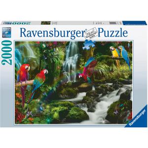 Puzzle 2000 pièces - Le paradis des perroquets - Ravensburger - 17111