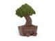 Peluche Amuseable Bonsai Tree - L: 12 cm x l : 18 cm x H: 34 cm