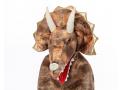 GrandasaurusTriceratops Cape w/Claws, Taille US 4-6 - Great Pretenders - 56805