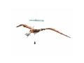 Livre et maquette 3D Dinosaures - Le ptéranodon - Sassi - 308992