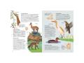 Atlas de la biodiversité - Ecosystèmes à protéger - Sassi - 306127