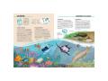 Atlas de la biodiversité - Ecosystèmes à protéger - Sassi - 306127