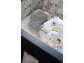Gigoteuse été 6-18 mois - Coloris  Multicouleur  Collection  Monceau - Maison Charlotte - 10251506