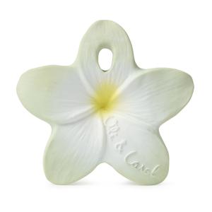 Chewy - Bali la fleur - Oli & Carol - L-CHEWY-FLOWER-MINT