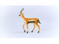 Figurine Gazelle de Thomson - Schleich - 14861