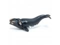 Figurine Papo Baleine franche - Papo - 56057