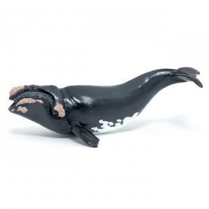 Figurine Papo Baleine franche - Papo - 56057