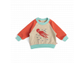 HERCULE Sweat-shirt 3m molleton flammé bicolore motif pieuvre  - 3 mois - Moulin Roty - 719897