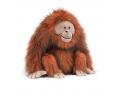 Peluche Oswald Orangutan - L: 28 cm x l: 30 cm x h: 34 cm - Jellycat - OSW1O