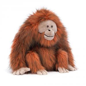 Peluche Oswald Orangutan - L: 28 cm x l: 30 cm x h: 34 cm - Jellycat - OSW1O