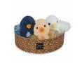 DISPLAY POUSSINS ASSORTIS - Histoire d'ours - HO3199