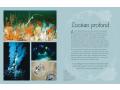 L'anthologie illustrée du monde aquatique - Auzou - 9782733891278