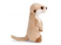 Meerkat 20cm, sitting - Nici - 48080