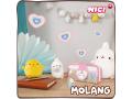 Molang 24cm in gift box - Nici - 47748