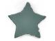 COUSSIN STAR FOREST POWDER