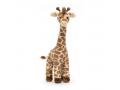 Peluche Dara Giraffe - L: 19 cm x H: 56 cm - Jellycat - DAR2G