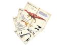 Set de 21 magnets dinosaures Museum - Vilac - 9624