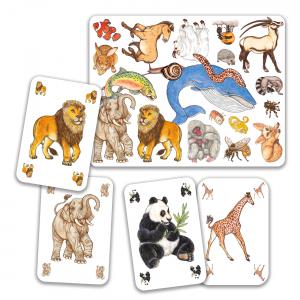 Jeux de cartes - Zanimatch - Djeco - DJ05153