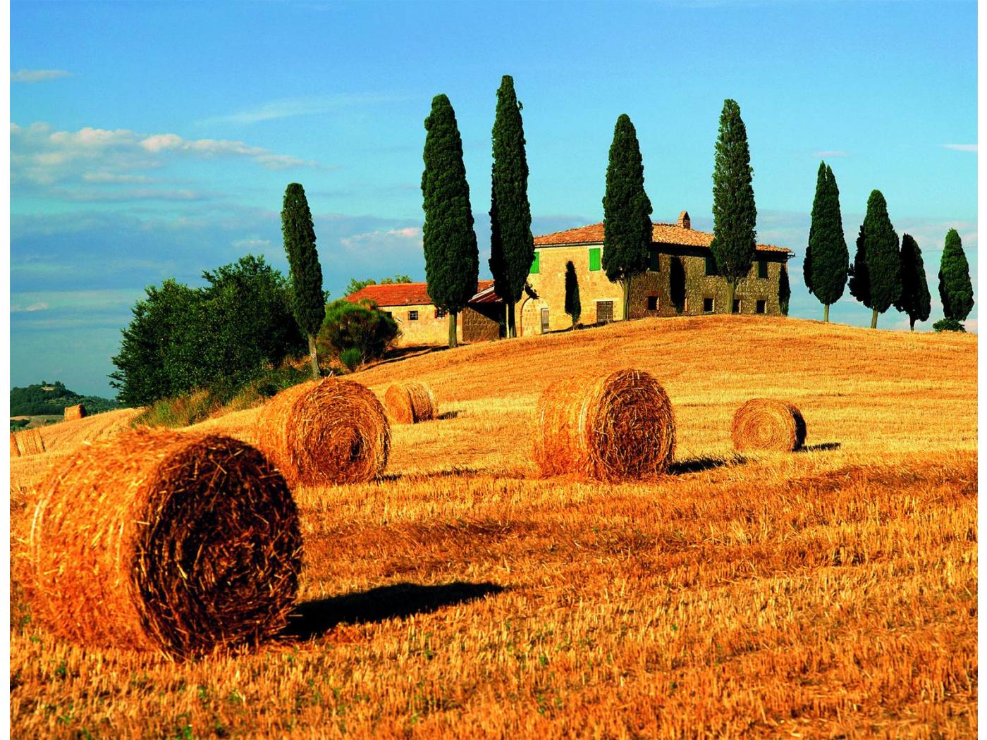 paysage de toscane images