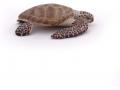 Figurine Papo Tortue caouanne - Papo - 56005