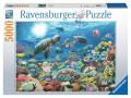 Puzzles adultes - Puzzle 5000 pièces - Monde marin - Ravensburger - 17426